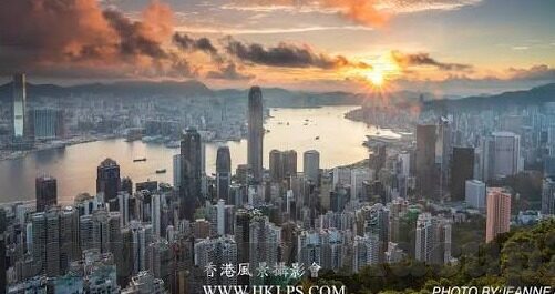 森林舞会老虎机图片-森林舞会中的老虎机，自然与机械的奇妙融合